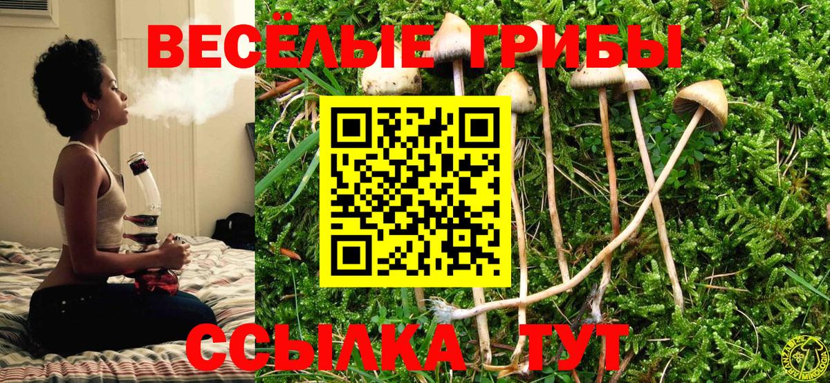 Псилоцибиновые грибы мицелий Рыбинск